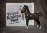 Breyer Proud Arabian foal - mahogany bay 1970s