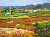 Vineyards in Provence.JPG