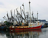 Harbor, Point Pleasant, NJ