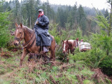 Multi BCHW Chapter and Organization Gravel Hauling, Capitol Forest, March 31, 2012