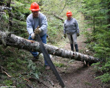 Dewey on the saw