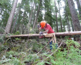 Danielle removing the bark