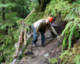 More Trail Repairs Needed