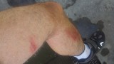 2011-08-06_11-09-56_8.jpg