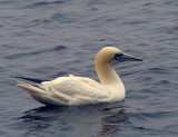 foubassan_002_GF.jpg