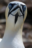 foubassan_008_GF.jpg