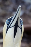 foubassan_009_GF.jpg