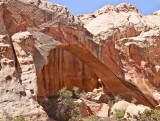 Muley Arch
