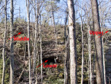 Martin's Fork Triplet Arches