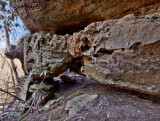 Bison Arch