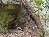 Sal Branch Arch