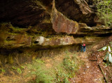 Near Silvermine Arch