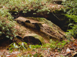 Silvermine Arch