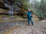 On Swift Camp Creek