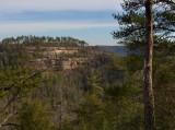 From overlook on Sheltowee Trace