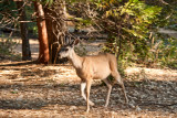 At The Trailhead