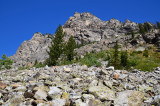 Cascade Cyn Trail