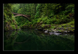 Moulton Falls Bridge #1