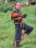 Young Hmong