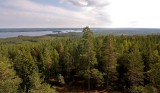 This is Sweden - 54% of the total area are forests and 9% lakes