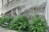 Wall sculpture