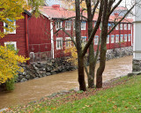 Svartån (Black river), after october rain rather Brown river