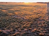 Sunrise over a frosty field