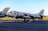 Sea Harrier FRS.1 XZ455