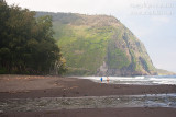 _ADR4250 waipio valley beach w.JPG