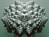 Romanesco