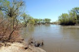 Carson River 11