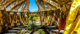 Rememberance Hut Inside Panorama