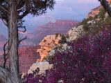 MikeHicks_GrandCanyon_N_05092007re.jpg