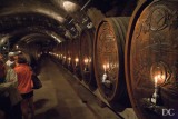 wine cellar, Wurzburg