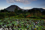 Mount Lokon - Sulawesi