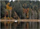 Fishing at Chemainus Lake