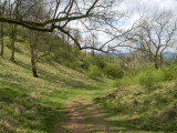 Shenberrow Hill