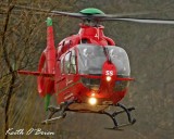 IMG_2019C.jpg