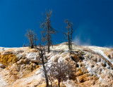 Mammoth Hot Springs