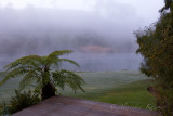 NZL_2BR7001.jpg