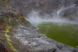 NZL_2BR7239.jpg