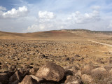 MAR__2BR9406.jpg