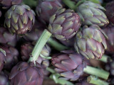 FRA_12__2BR0431.jpg