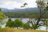 Tutuala forest from Jaco Island