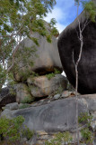Lion Mountain boulders
