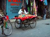 Apple Seller