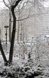 Snow Day