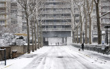 Snow Day