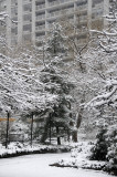Snow Day