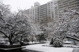 Snow Day
